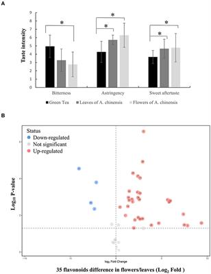 Unraveling the Glucosylation of Astringency Compounds of Horse Chestnut via Integrative Sensory Evaluation, Flavonoid Metabolism, Differential Transcriptome, and Phylogenetic Analysis